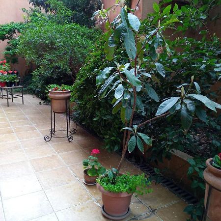 Green Terrace Tbilisi Esterno foto